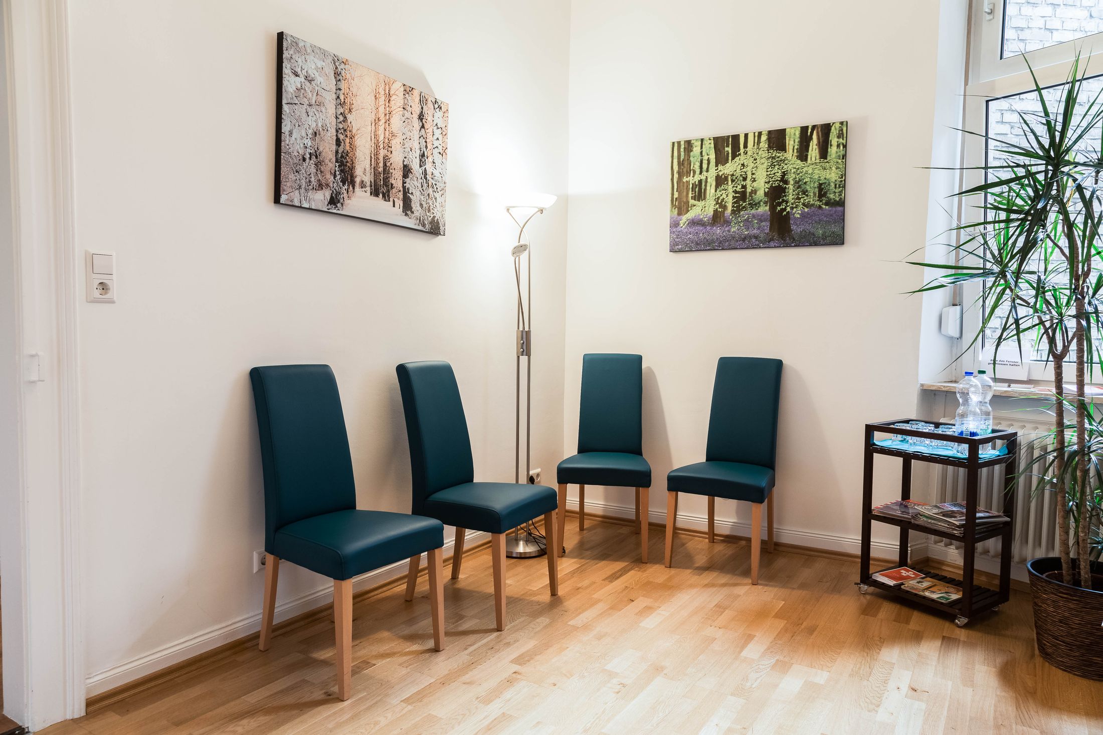 Das Wartezimmer der Praxis mit dunkelgrünen Stühlen und hellem Holzboden
